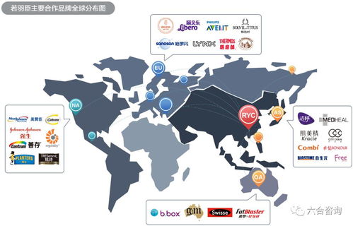 若羽臣擬IPO 以電商綜合服務助力強生、美贊臣等全球優質品牌，賦能互聯網銷售